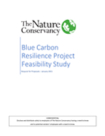 Blue Carbon Resilience Project Feasibility Study Request for Proposals
