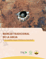 La miel es considerada una de las riquezas que ha tenido nuestra cultura maya, son muy especiales para nosotros que habitamos en la región, tienen el alma de nuestras selvas,