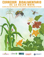 Corredor Bioalimentario de la Selva Maya. El papel de la meliponicultura y apicultura en la conservación de paisajes