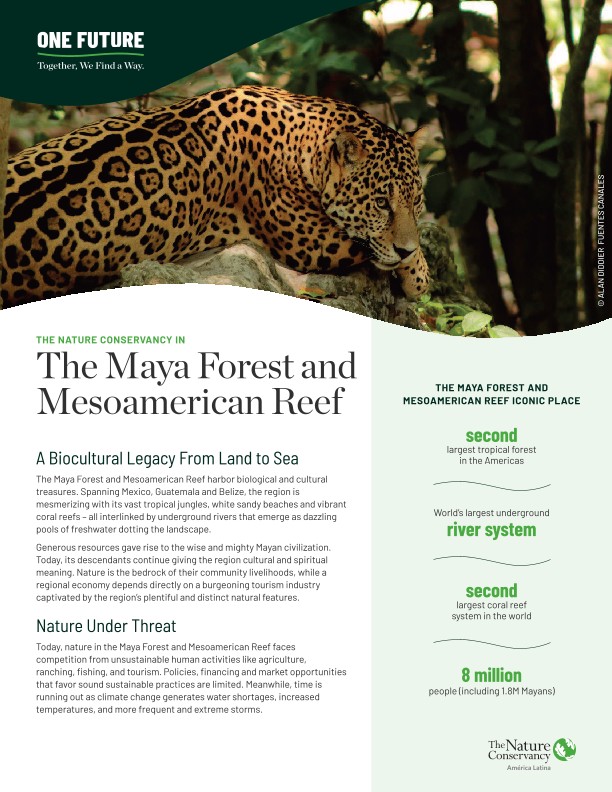 Overview about our work an goals for this iconic place
